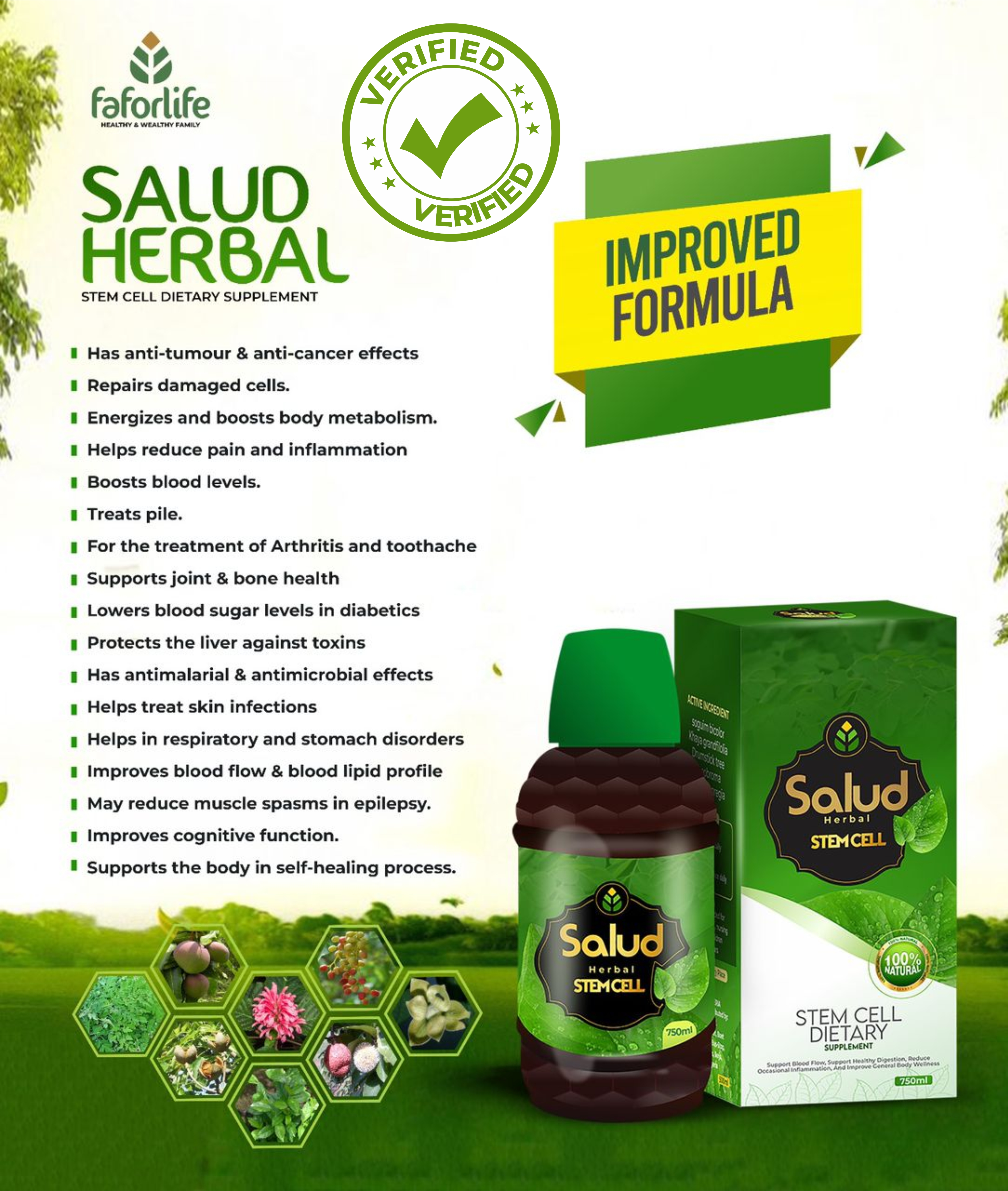 SALUD HERBAL